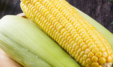 漳州市推行出口食品企業備案管理改革 企業可當地審批